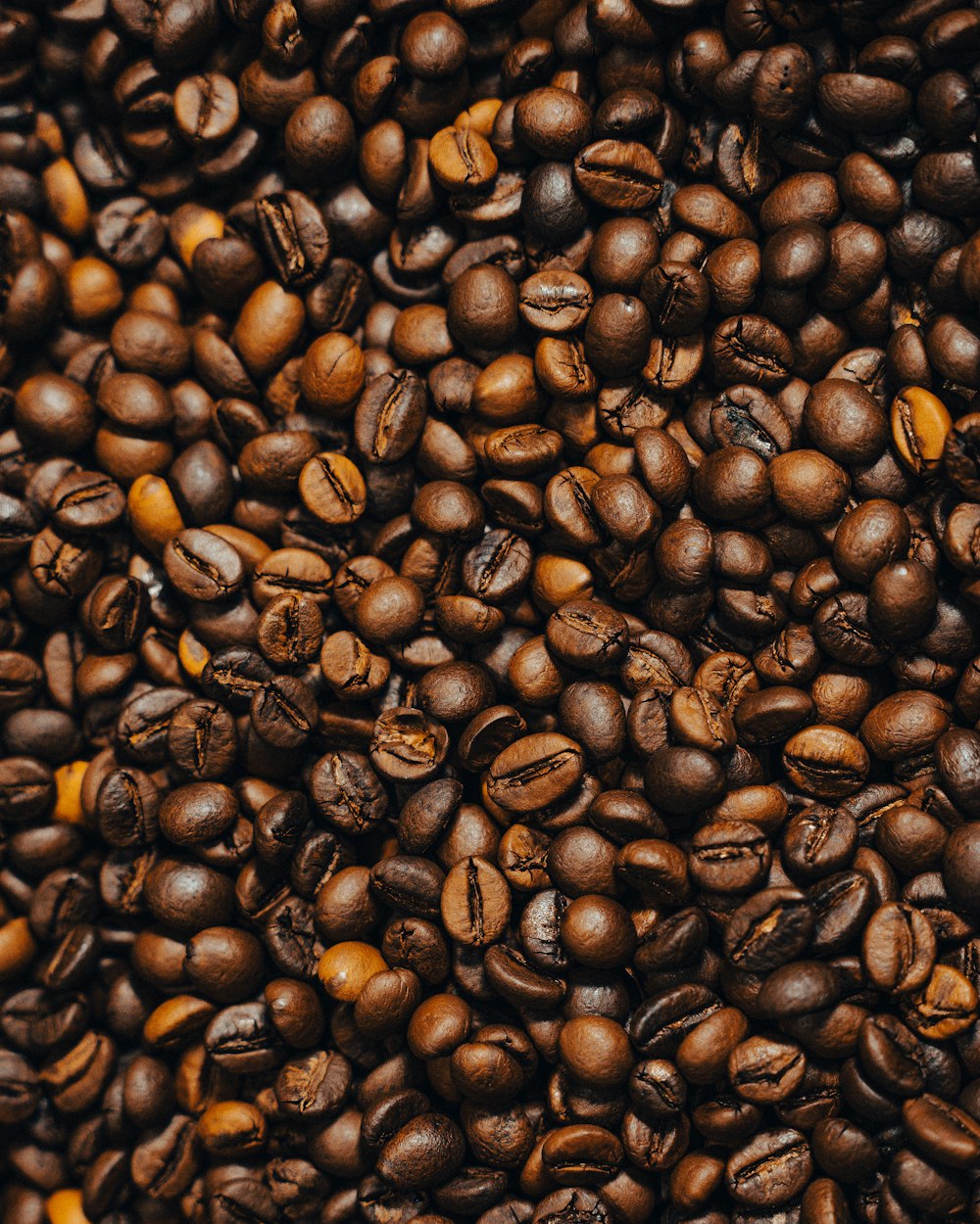 Tostamos nuestro propio café